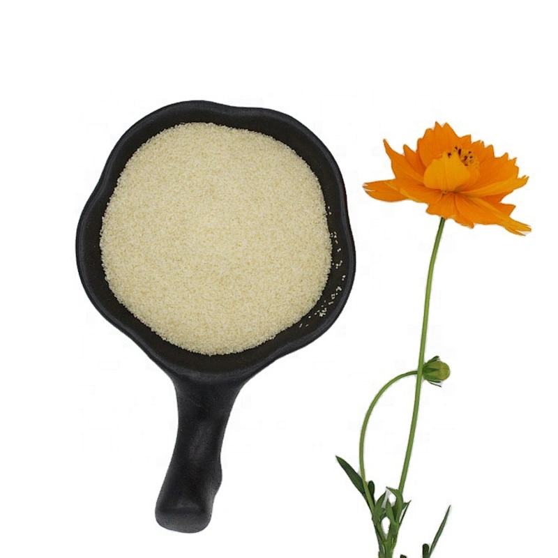 Gelatin Food Grade Gelatin Powder Food Additives gelatin powder price